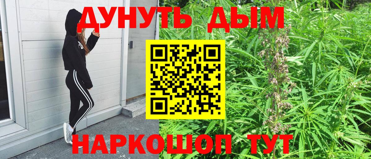 Бошки марихуана сатива  Каннабис планчик  Клинцы  Бошки марихуана LSD WEED  Вход с VPN 